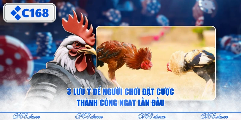 3 lưu ý để người chơi đặt cược thành công ngay lần đầu