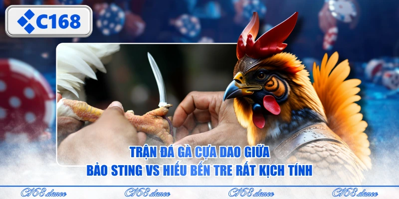 Trận đá gà cựa dao giữa Bảo Sting vs Hiếu Bến Tre rất kịch tính